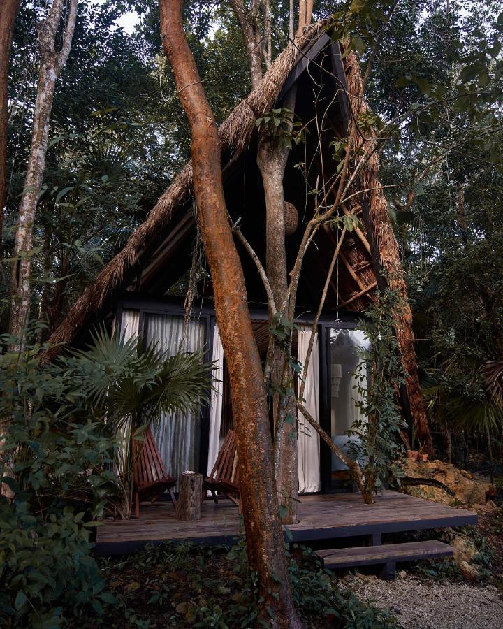 Kapok Bacalar - Plant Based Hotel Buenavista  Exterior foto