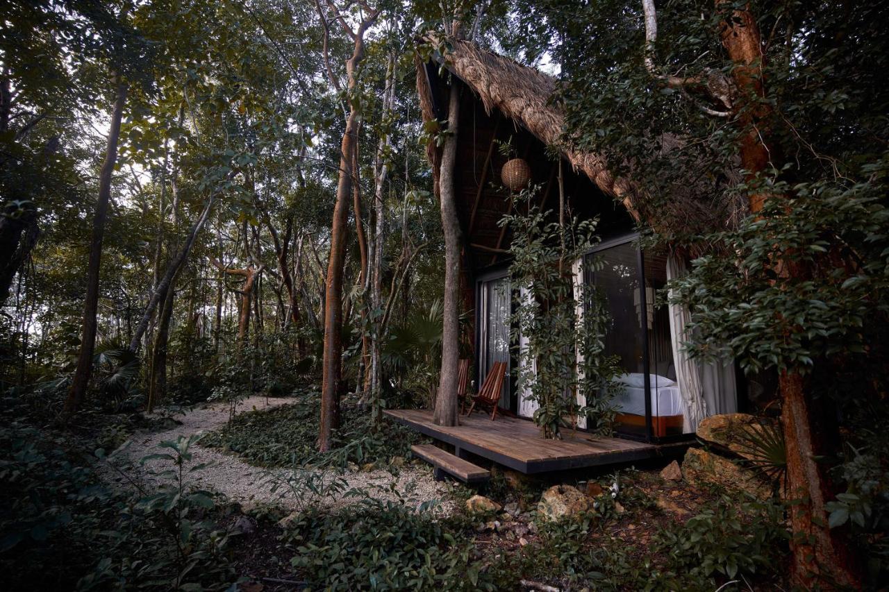 Kapok Bacalar - Plant Based Hotel Buenavista  Exterior foto